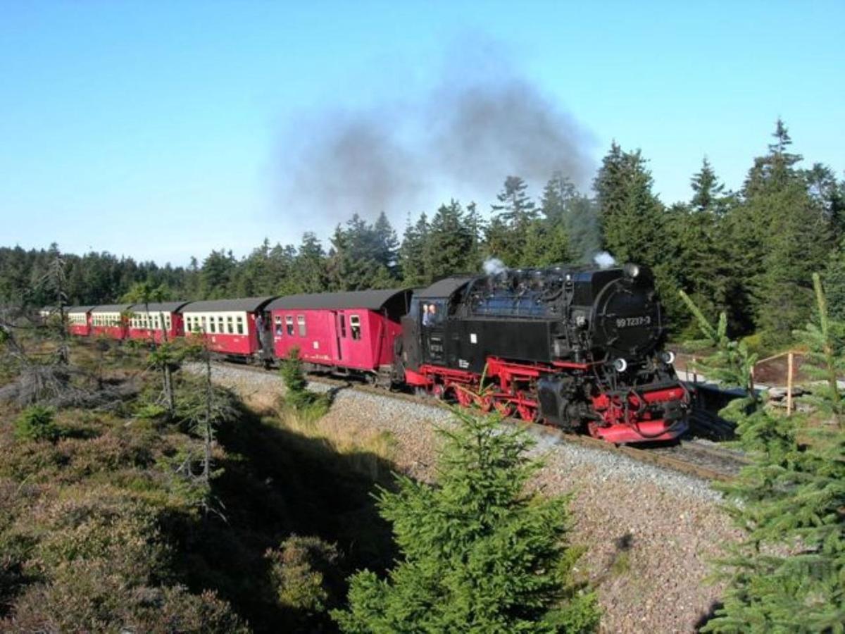 Harzhaus Rauch Braunlage Exterior foto